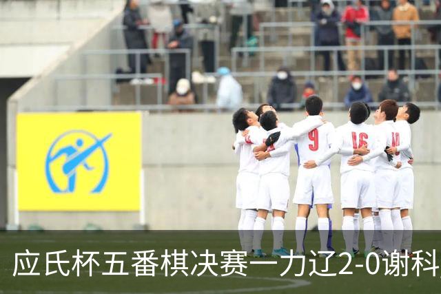 应氏杯五番棋决赛一力辽2-0谢科 率先拿到赛点